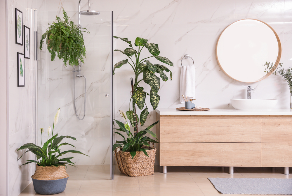 Planning To Refresh Your Bathroom? Consider These Bathroom Plants Decor